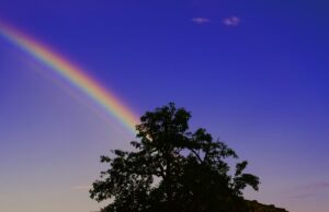 Rainbow to Show Hope and Optimism